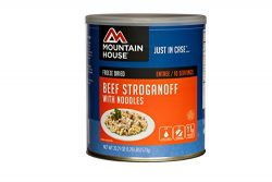 Mountain House Beef Stroganoff with Noodles #10 Can