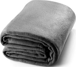 Polar Fleece Blanket (Queen, Grey) – Extra Soft Brush Fabric, Super Warm Bed Blanket, Ligh ...