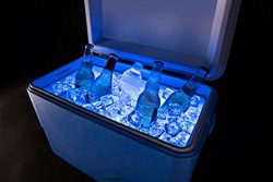 Brightz, Ltd. Cooler Brightz LED Light Cooler Accessory, Blue