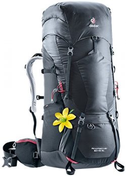 Deuter Aircontact Lite 60+10 SL Backpacking Pack, Graphite/Black